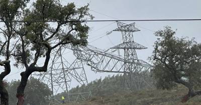 Mau tempo: Tornado afetou 10 casas em Nisa mas sem causar desalojados