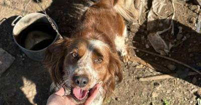 ”Valente” está á guarda da Associação.