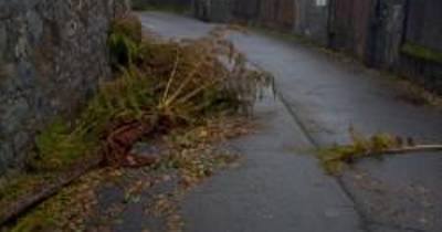 Nova Direita questiona falta de limpeza nas ruas do Monte após temporal ‘Emília’