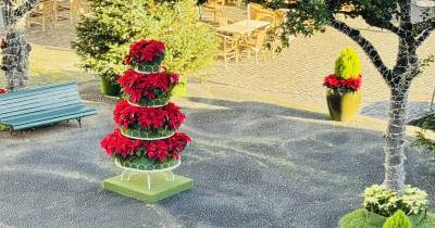 Furtadas Manhãs de Páscoa das decorações de Santa Cruz