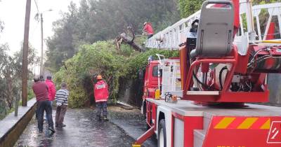 Proteção Civil regista 307 ocorrências relacionadas com o mau tempo