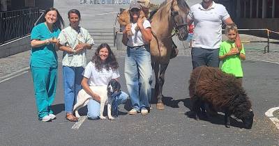 Quinta da Caldeira leva animais ao encontro das crianças no Hospital Dr. Nélio Mendonça