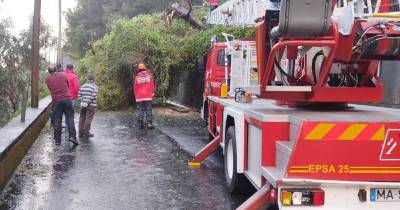 Mais de 270 ocorrências provocadas pelo mau tempo na Madeira