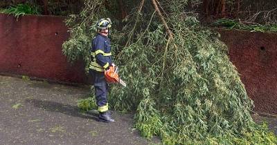 Bombeiros tiveram 12 ocorrências relacionadas com mau tempo.