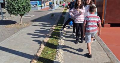 Veja o percurso de flores construído por alunos até ao Engenho (com fotos)