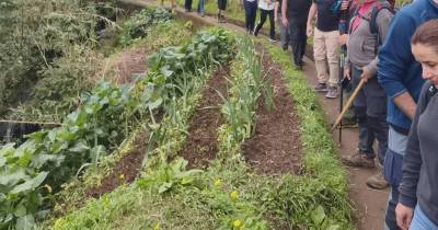 Clube de Campismo da Madeira promove caminhada em Machico