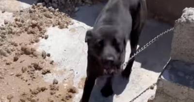 A situação foi denunciada nas redes sociais desta associação.