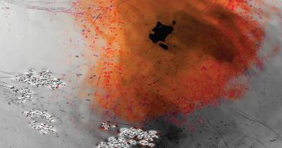 Galeria Anjos Teixeira recebe exposição fotográfica “Extrapolação”