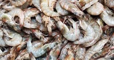 Empresa espanhola Nueva Pescanova abandona Moçambique