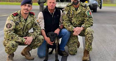 Corpo de Fuzileiros da Marinha recruta cadela vinda da Madeira