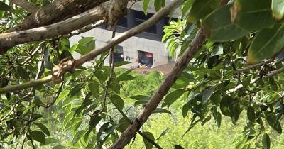 Família está a viver dentro de um compartimento do túnel falso da Ribeira de João Gomes