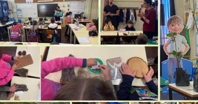 Alunos do 1.º ano participam no atelier “Contigo Floresta”