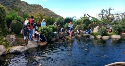 Alunos da Escola Gonçalves Zarco visitam a Ilha das Aves