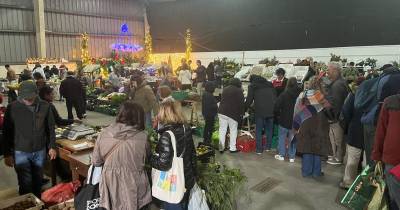 Noite do Mercado da Calheta já arrancou nos Prazeres
