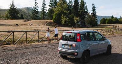 Aluguer de veículos na Madeira rende mais de 108 milhões de euros num ano
