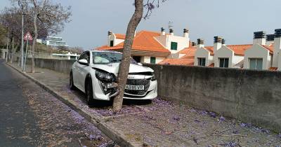 Viatura bate em árvore na Ajuda