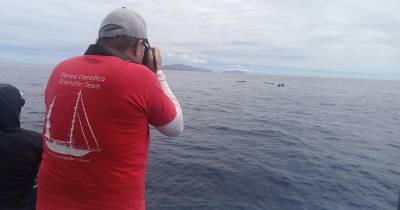 Projeto ‘MARVEL’ atinge marco importante na proteção da vida marinha da Região