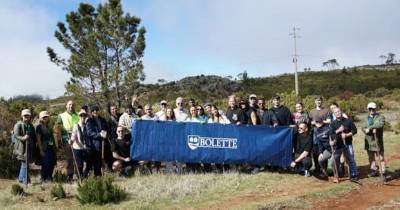Passageiros e tripulantes de navio de cruzeiro plantam 300 árvores na Madeira