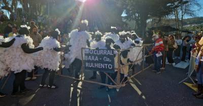 Galeria de imagens mostra como foi o desfile de Carnaval na Camacha este domingo.