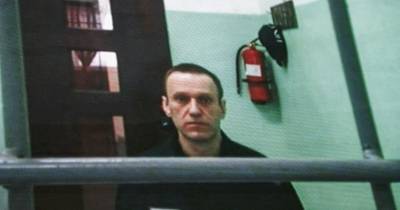 A 07 de dezembro, Navalny apelou, a partir da prisão, a um voto contra o Presidente russo, Vladimir Putin, nas eleições de março de 2024.