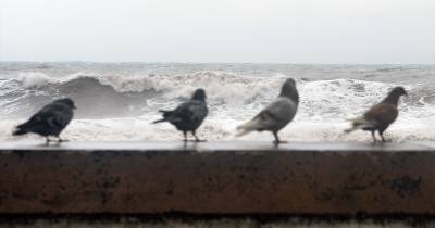 Costa norte e Porto Santo sob aviso amarelo