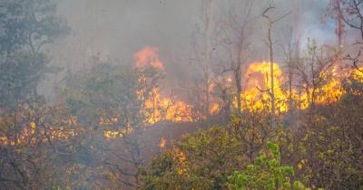 Vinte e seis concelhos de nove distritos do país em perigo máximo de incêndio