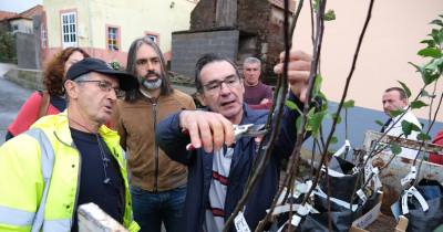 Entrega de árvores de fruto aos agricultores.