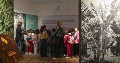 A fruta que se tornou uma imagem de marca da Madeira e tem agora um museu