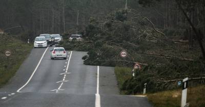Estrada nacional 242, que liga Marinha Grande a Nazaré, condicionada depois da passagem da depressão Kristin, em Pataias, Alcobaça.