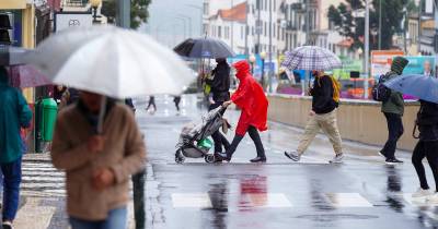 Em comunicado, o SRPC alerta para a possibilidade de queda de ramos ou árvores, assim como de “afetação de infraestruturas associadas às redes de comunicações e energia”.