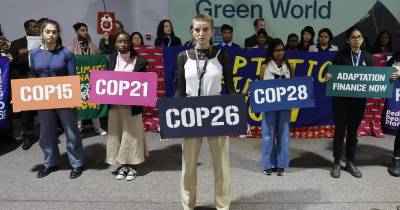 Ativistas do clima também marcaram presença na COP29, a decorrer no Azerbaijão.