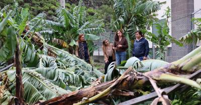 PS exige “apoios rápidos e sem complicações” para os agricultores afetados pelo mau tempo