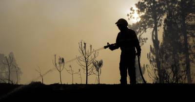 É necessário “reforçar a ideia de que é preciso que se criem mais profissionais em Portugal” .