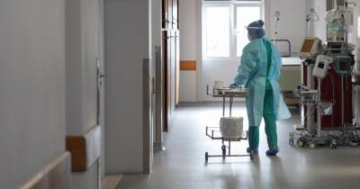 Ordem dos Enfermeiros alerta para urgência de mais contratações no SNS
