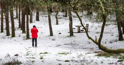 Entre os impactos possíveis estão perturbações na circulação rodoviária, com vias condicionadas ou interditas, formação de gelo, além de eventuais danos em estruturas, árvores e constrangimentos no abastecimento local.