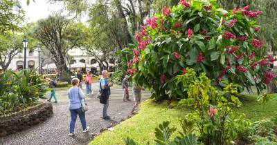 Antes e Depois: Um pulmão da cidade (com fotos)