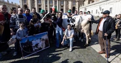 Uma delegação do Movimento Agrícola Federado chegou à Praça de São Pedro, após ter recebido autorização do Vaticano, com dois dos seus maiores símbolos, um trator e a vaca ‘Ercolina’