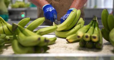 PSD requer audição parlamentar à administração da GESBA