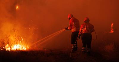 Incêndios no Chile já causaram 15 mortos e levaram 50.000 a deixar as suas casas