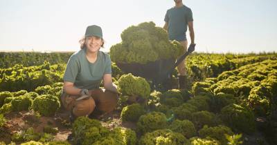 Comissão Europeia propõe 300.000 euros para jovens agricultores
