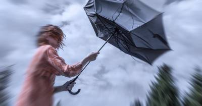 Mau tempo: Proteção Civil registou 415 ocorrências entre as 00:00 e as 08:00