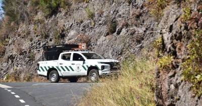 Instituto de Florestas reforça apelos