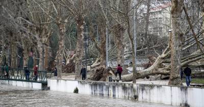 Queda de árvores no parque do Avião depois da passagem da depressão Kristin, em Leiria.