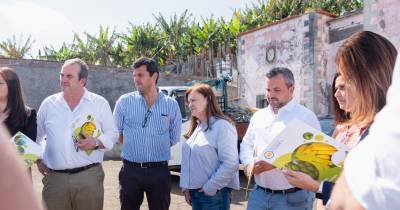GP PSD defende que agricultura de Câmara de Lobos continua a afirmar-se como motor económico do concelho
