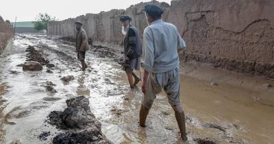 O Afeganistão é um dos países mais vulneráveis do mundo às alterações climáticas e o menos preparado para se adaptar, segundo um relatório do Gabinete das Nações Unidas para a Coordenação dos Assuntos Humanitários.