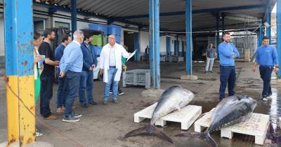 CDU defende “novo rumo” para o setor da pesca na Madeira