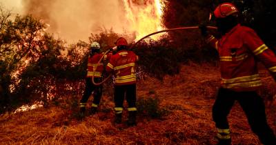 O incêndio que começou no Piódão, no concelho de Arganil (distrito de Coimbra), e que entrou em resolução no domingo, ao fim de 11 dias, apresenta uma área ardida de 64.451 hectares.