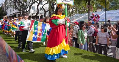 Desfile de Carnaval Solidário com 600 foliões