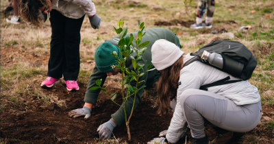 Iniciativa incluiu plantação de árvores, caminhada solidária e apoio à Sociedade Portuguesa de Esclerose Múltipla
