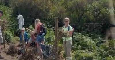 Vídeo na zona oeste da Madeira mostra turistas a ultrapassar vedação em área verde